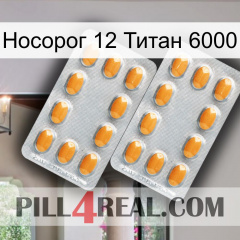 Носорог 12 Титан 6000 cialis4